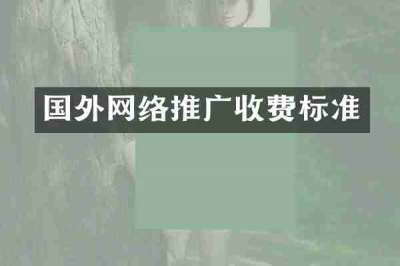 国外网络推广收费标准