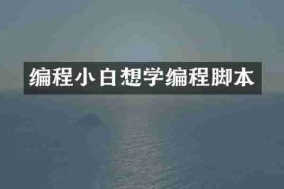 编程小白想学编程脚本