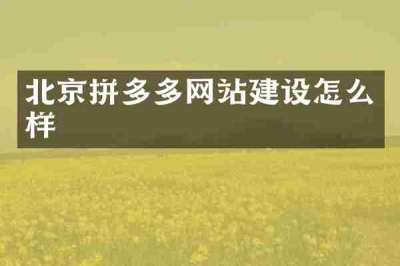 北京拼多多网站建设怎么样