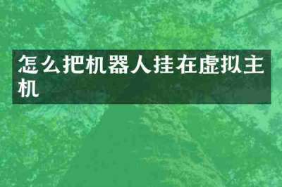 怎么把机器人挂在虚拟主机