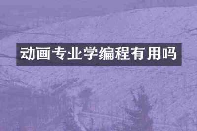 动画专业学编程有用吗