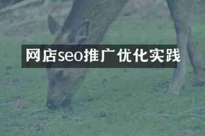网店seo推广优化实践