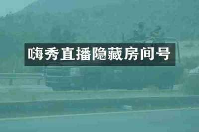 嗨秀直播隐藏房间号