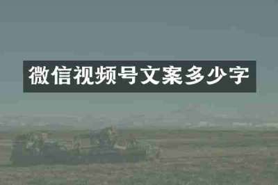 微信视频号文案多少字