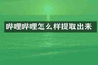 哔哩哔哩怎么样提取出来