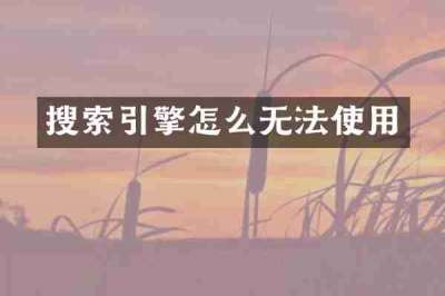 搜索引擎怎么无法使用