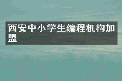西安中小学生编程机构加盟