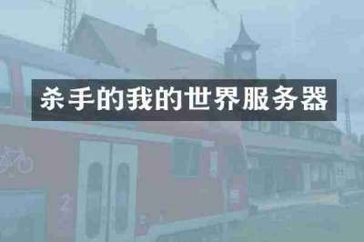 杀手的我的世界服务器