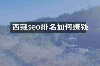 西藏seo排名如何赚钱