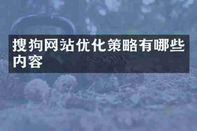 搜狗网站优化策略有哪些内容