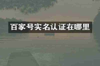 百家号实名认证在哪里