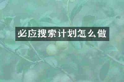 必应搜索计划怎么做