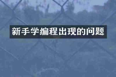 新手学编程出现的问题