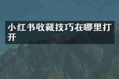 小红书收藏技巧在哪里打开