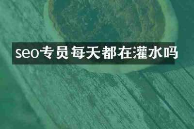 seo专员每天都在灌水吗