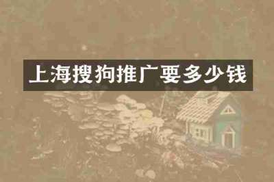 上海搜狗推广要多少钱