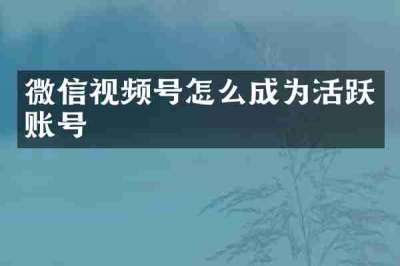 微信视频号怎么成为活跃账号