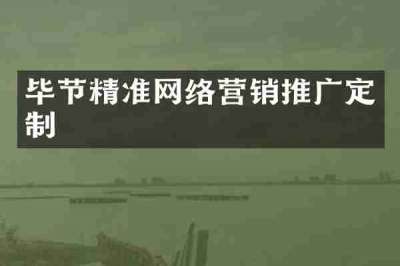 毕节精准网络营销推广定制