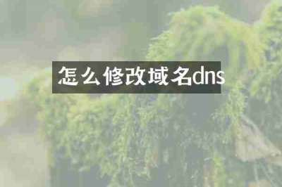 怎么修改域名dns