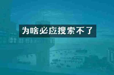 为啥必应搜索不了