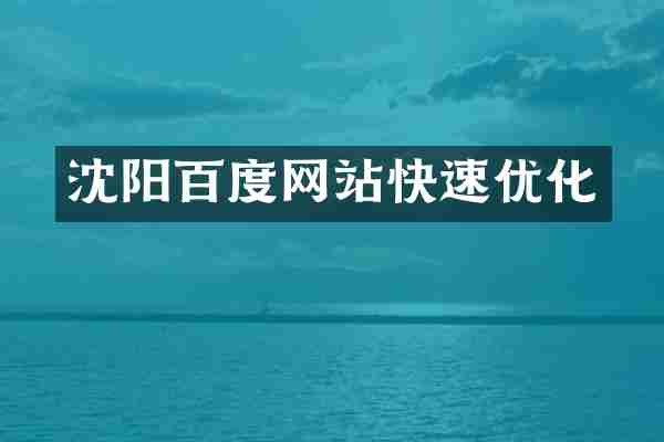 沈阳百度网站快速优化