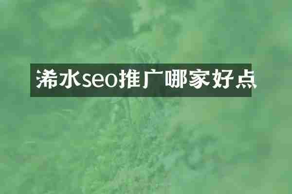浠水seo推广哪家好点