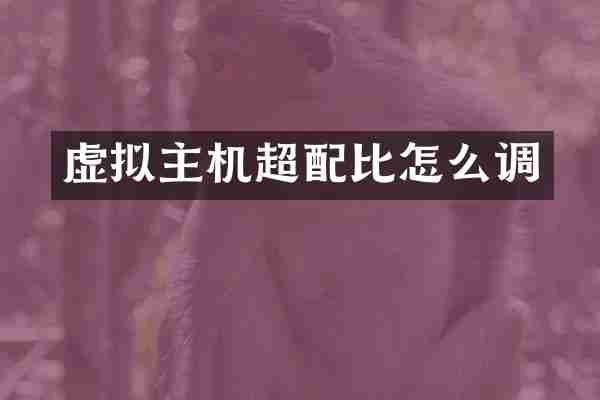 虚拟主机超配比怎么调