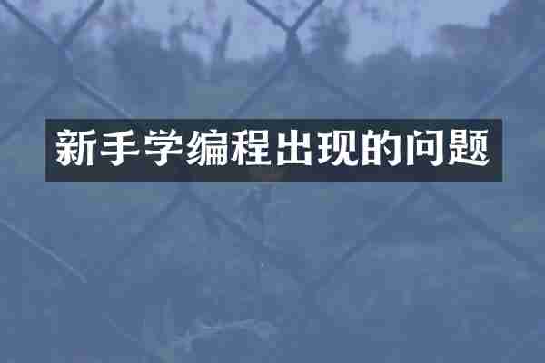 新手学编程出现的问题