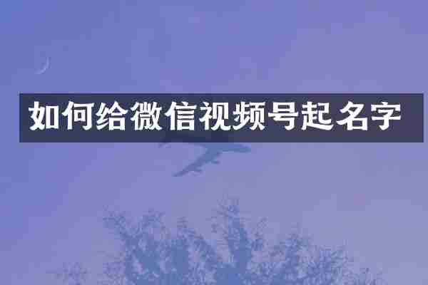 如何给微信视频号起名字