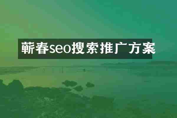 蕲春seo搜索推广方案