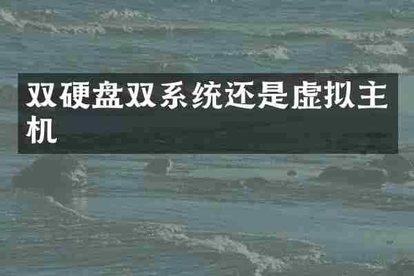 双硬盘双系统还是虚拟主机