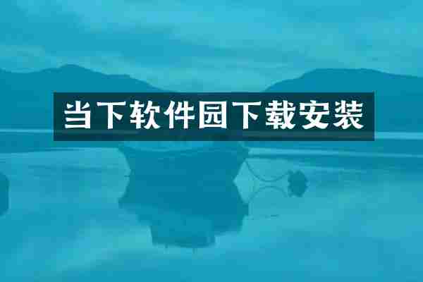 当下软件园下载安装