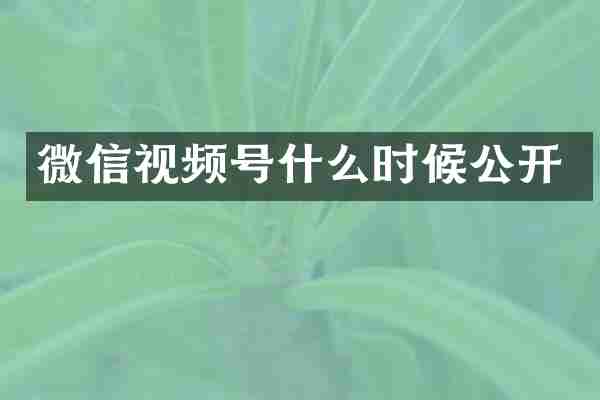 微信视频号什么时候公开