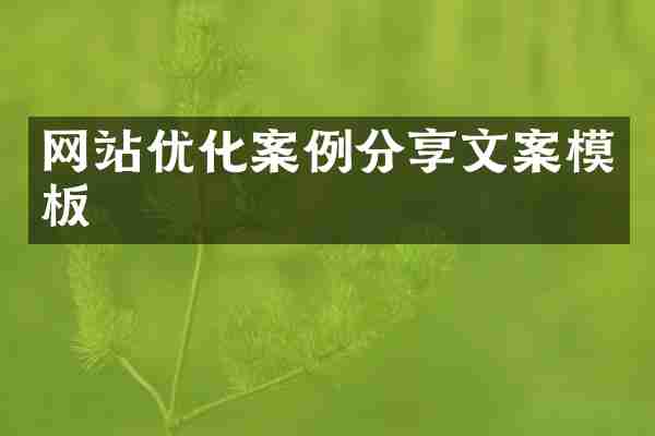 网站优化案例分享文案模板