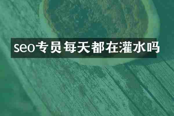 seo专员每天都在灌水吗