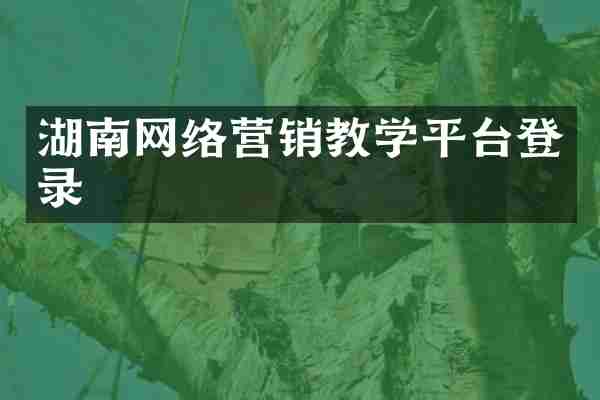 湖南网络营销教学平台登录