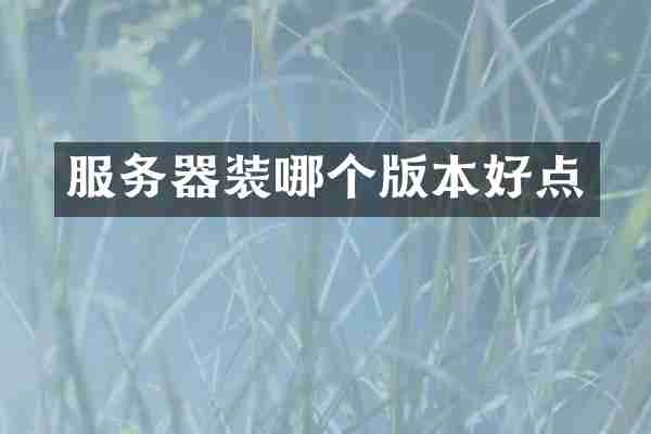服务器装哪个版本好点