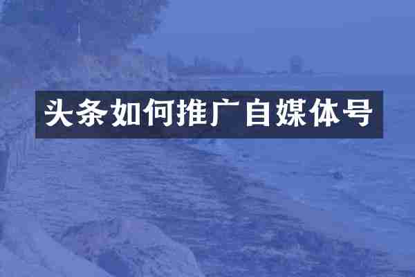 头条如何推广自媒体号