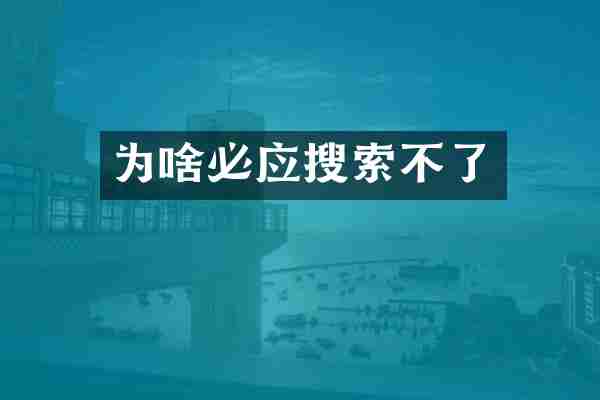 为啥必应搜索不了