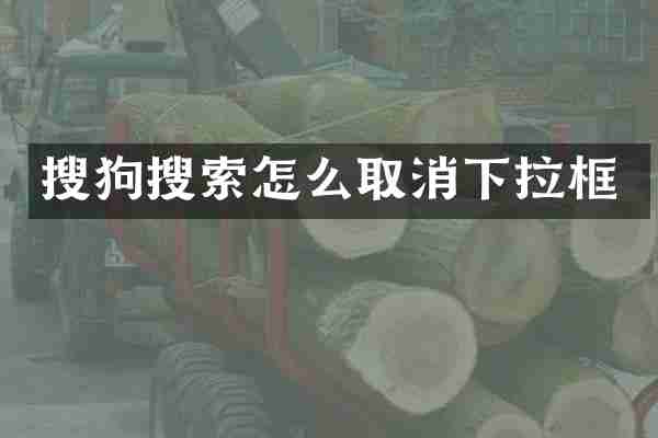 搜狗搜索怎么取消下拉框