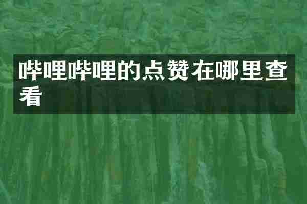 哔哩哔哩的点赞在哪里查看
