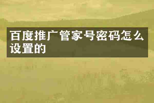 百度推广管家号密码怎么设置的
