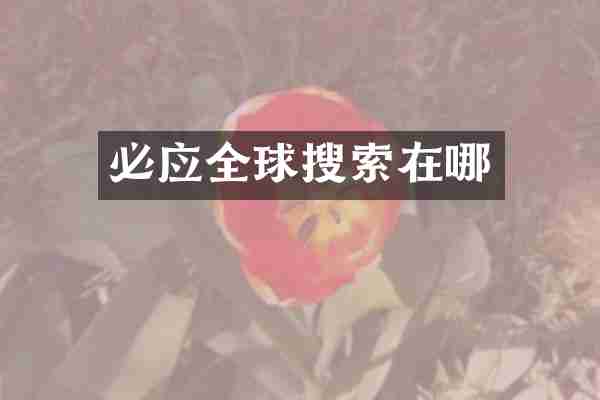 必应全球搜索在哪