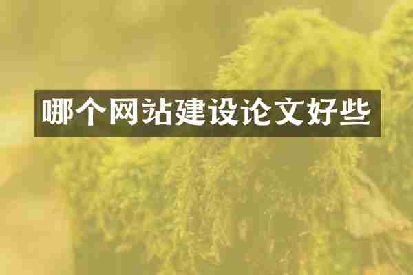 哪个网站建设论文好些