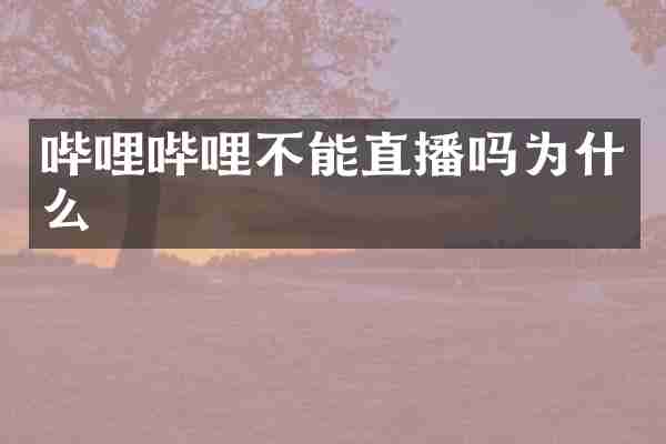 哔哩哔哩不能直播吗为什么