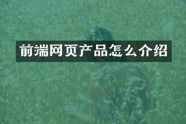 前端网页产品怎么介绍