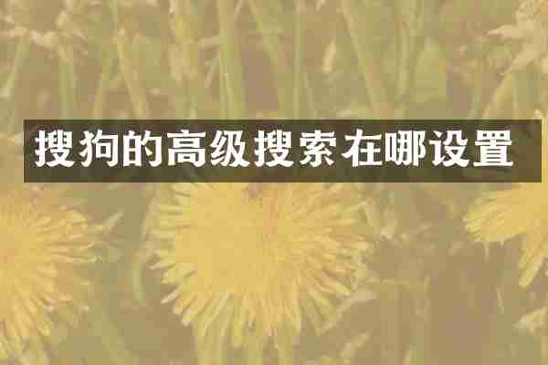 搜狗的高级搜索在哪设置