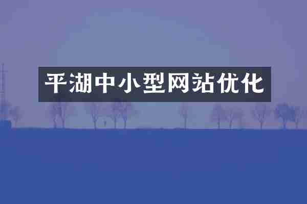 平湖中小型网站优化