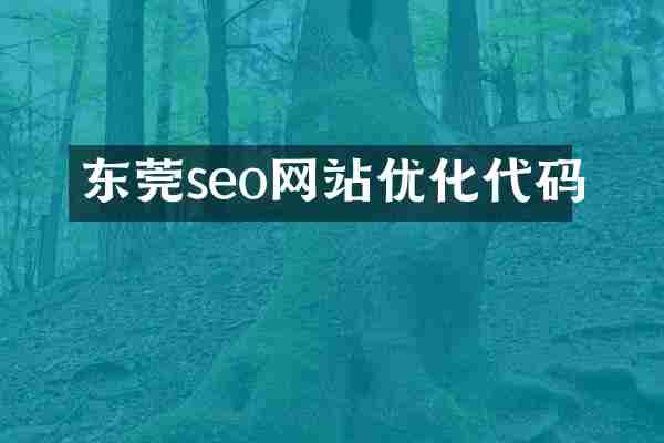 东莞seo网站优化代码