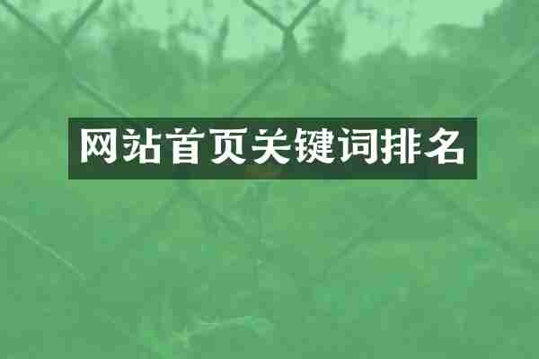 网站首页关键词排名
